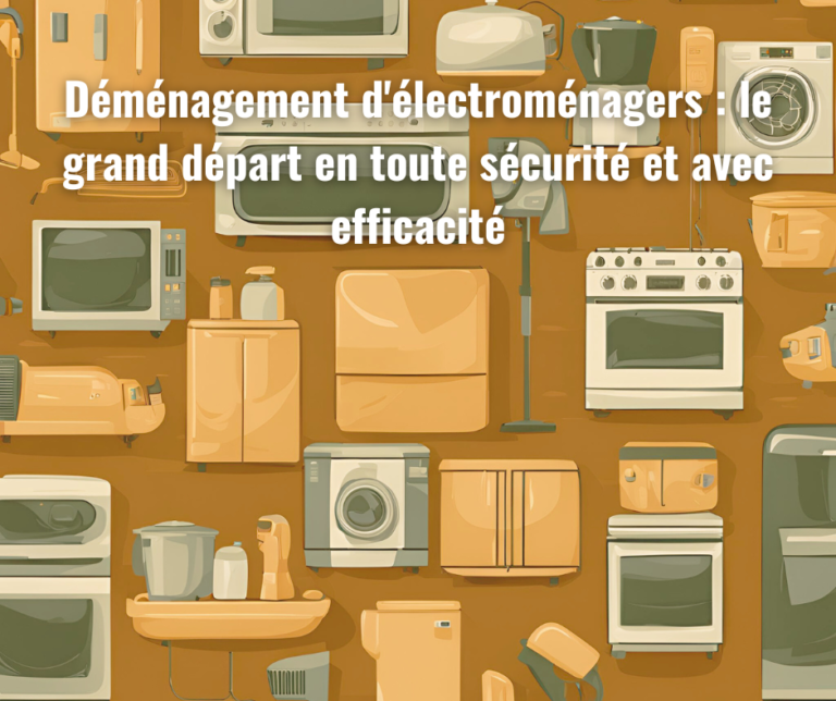 Déménagement électroménagers